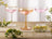 Conjunto 2 Taças Cristal Martelado Fio De Ouro Coupe Petra Cj Kit Taças Borda Dourada
