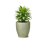 Vaso Planta Casa Jardim Decoração Redondo 5 Litros Areia