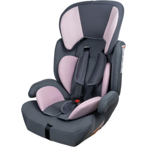 Cadeira De Seguranca P\/ Carro Grafite\/rosa 9-36kg - Unidade